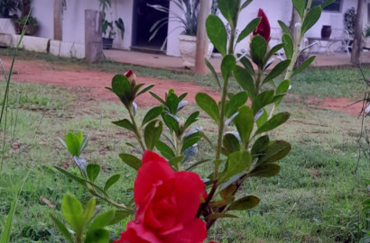 Linda chácara para venda próximo a São Lourenço - MG.