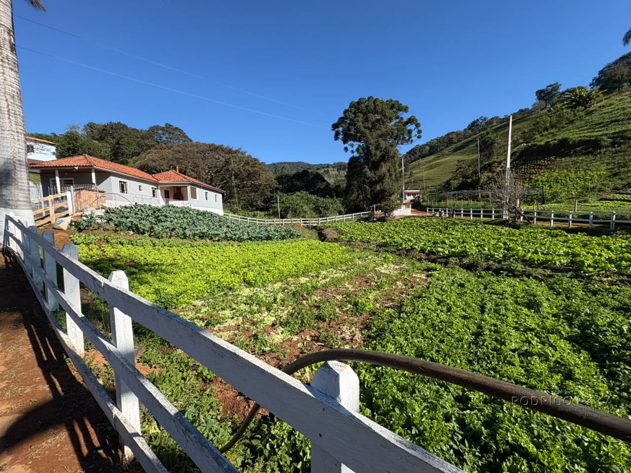 Chácara para venda próximo a São Lourenço - MG