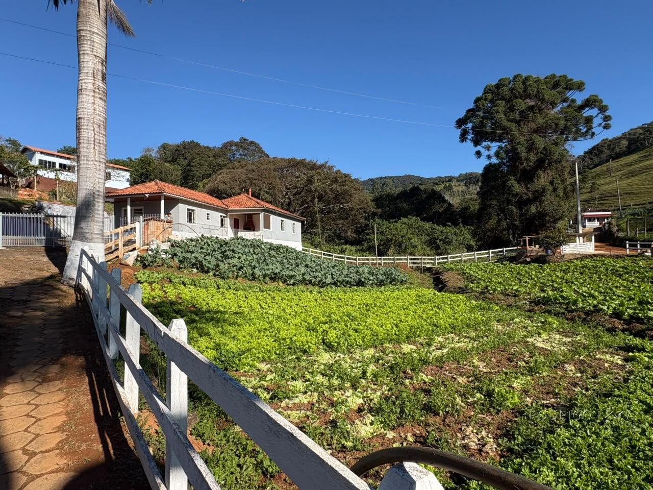 Chácara para venda próximo a São Lourenço - MG