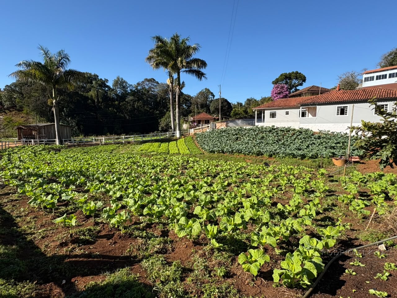 Chácara para venda próximo a São Lourenço - MG