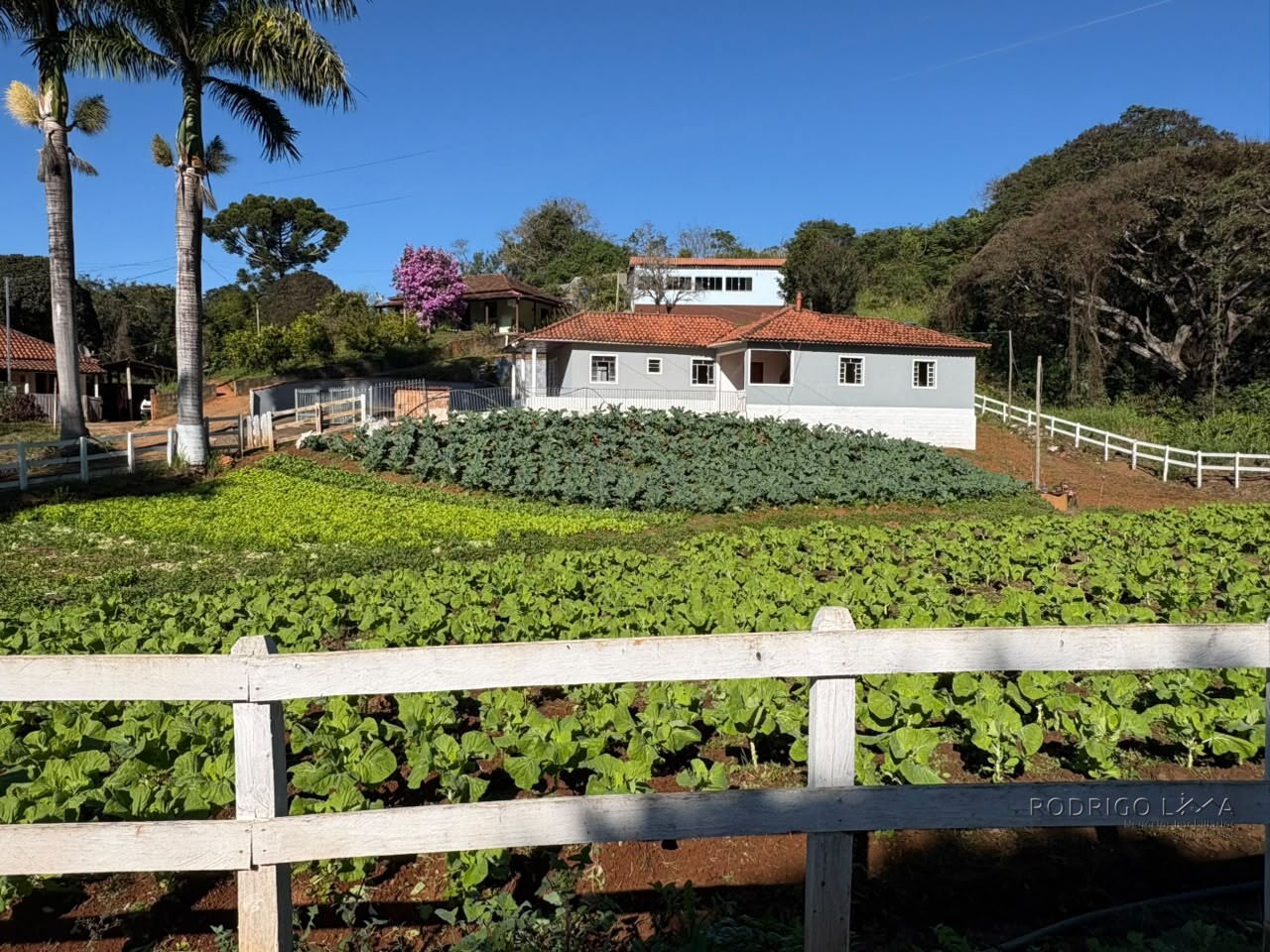 Chácara para venda próximo a São Lourenço - MG