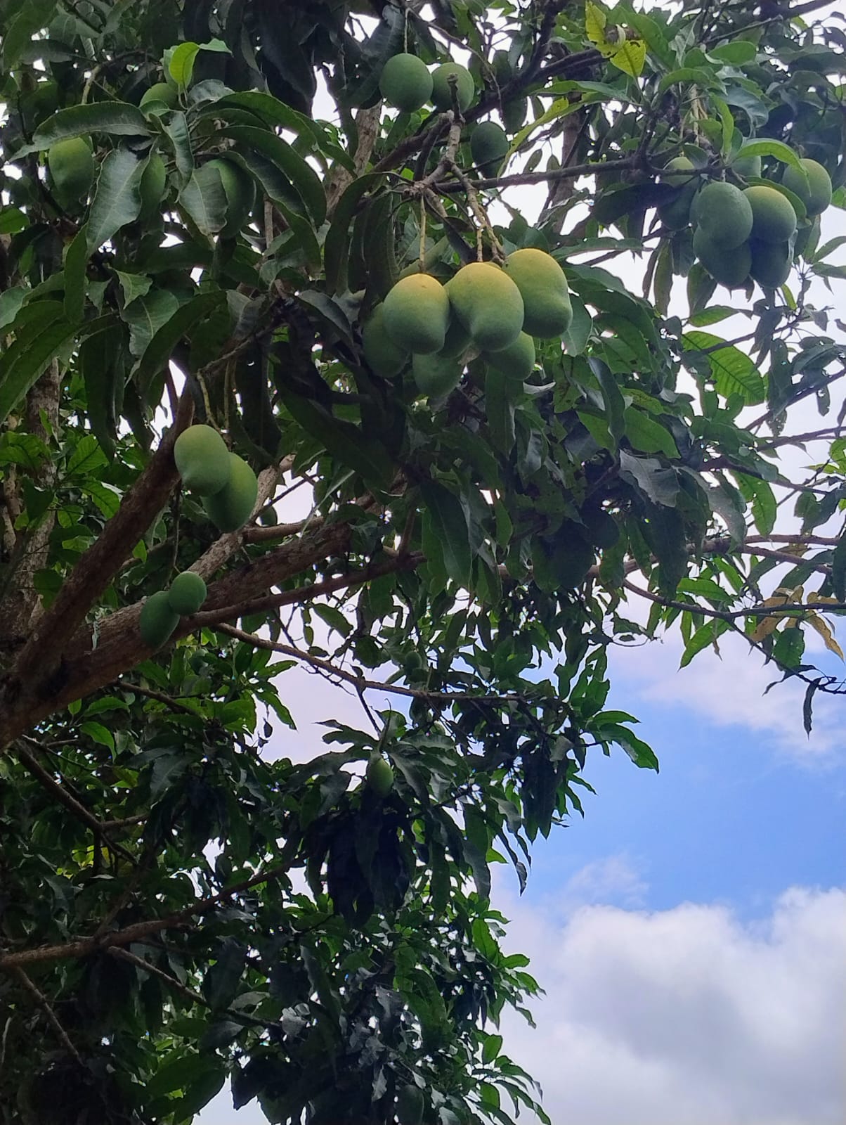Chácara para venda em Soledade MG