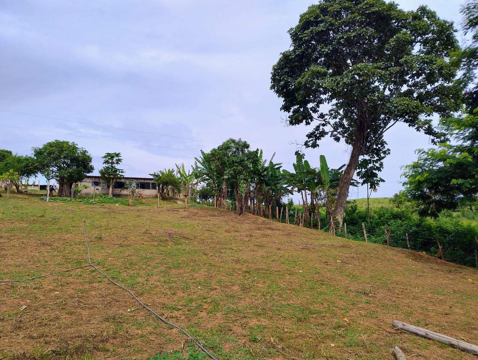 Chácara para venda em Soledade MG