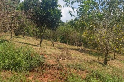 Sítio para venda em Carmo de Minas MG