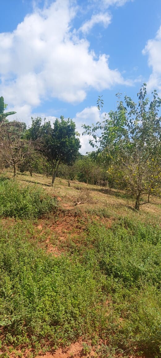 Sítio para venda em Carmo de Minas MG