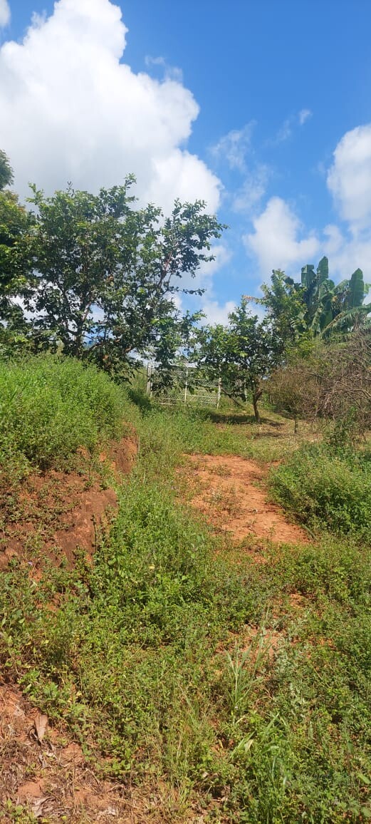 Sítio para venda em Carmo de Minas MG