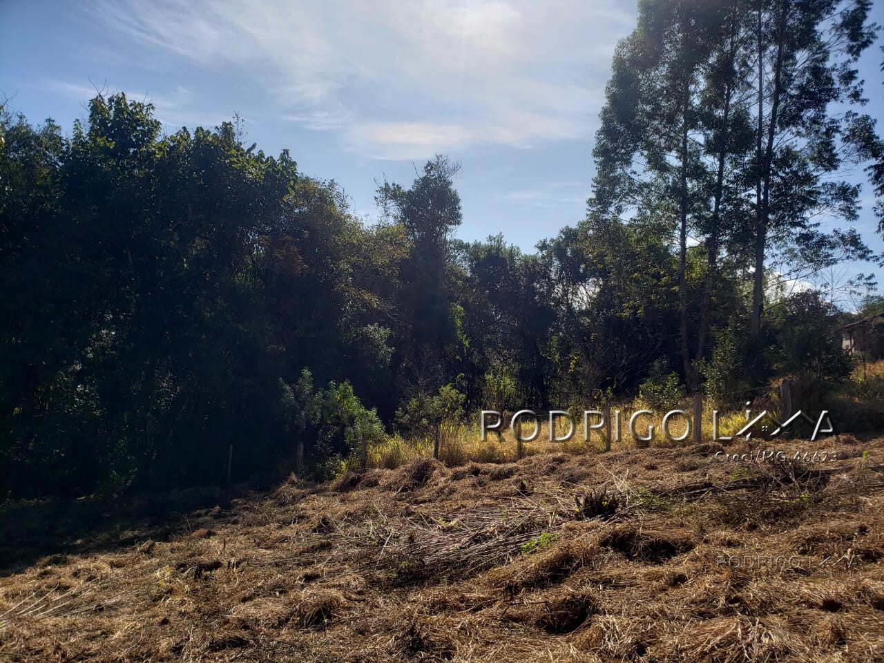 Chácara para chácara a venda em Dom Viçoso - MG.