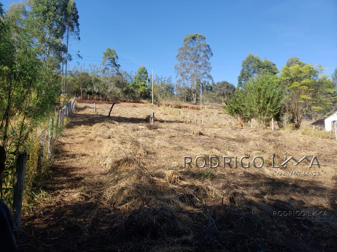 Chácara para chácara a venda em Dom Viçoso - MG.