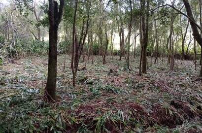 Chácara para chácara a venda em Dom Viçoso - MG.
