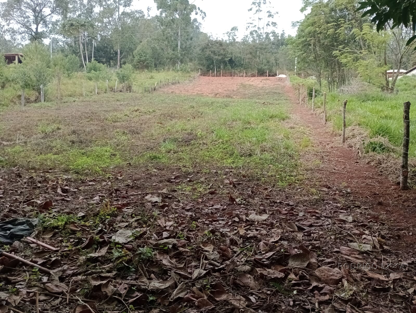 Chácara para chácara a venda em Dom Viçoso - MG.
