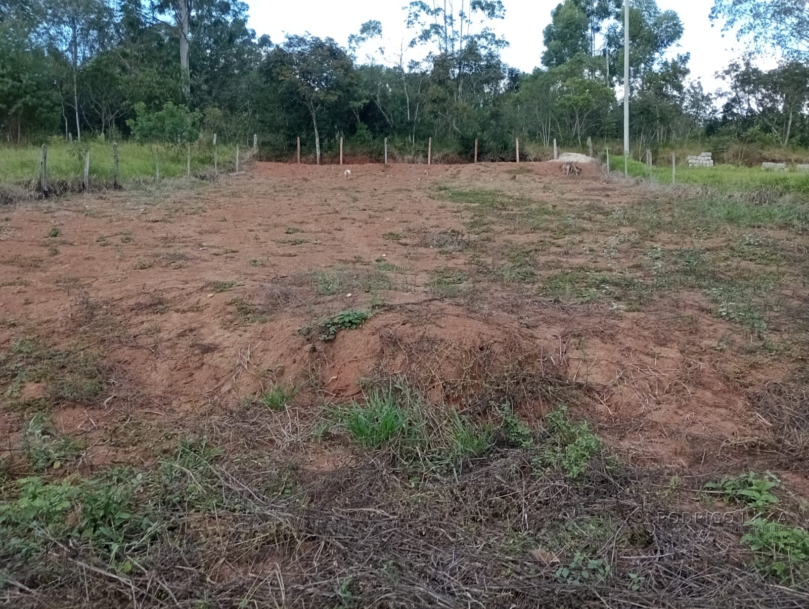 Chácara para chácara a venda em Dom Viçoso - MG.