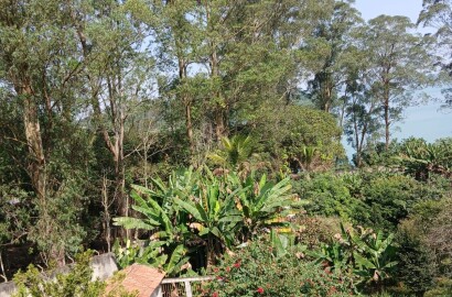 Galpão industrial para venda em São Bernardo do Campo SP