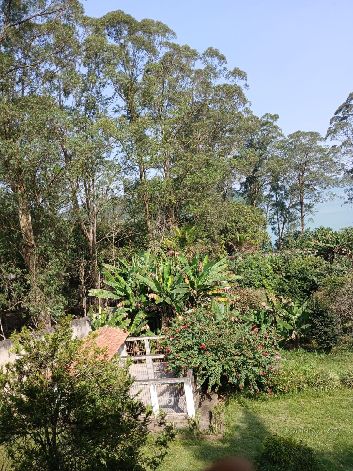 Galpão industrial para venda em São Bernardo do Campo SP
