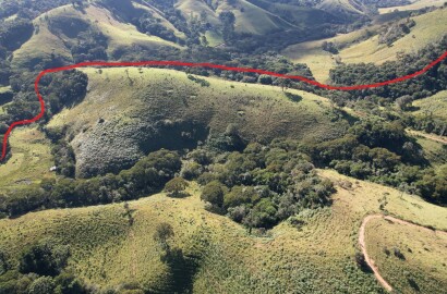 Fazenda para venda em Carvalhos MG