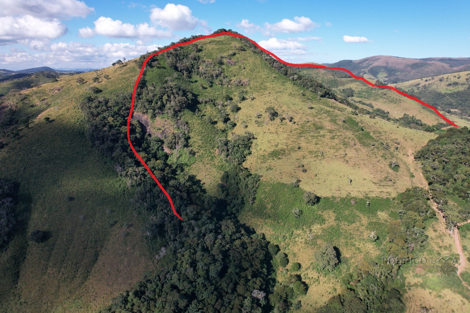 Fazenda para venda em Carvalhos MG