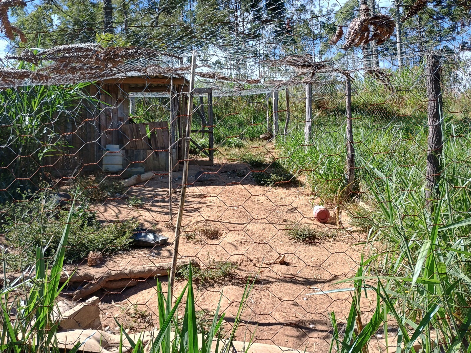 Fazenda para venda em Liberdade MG