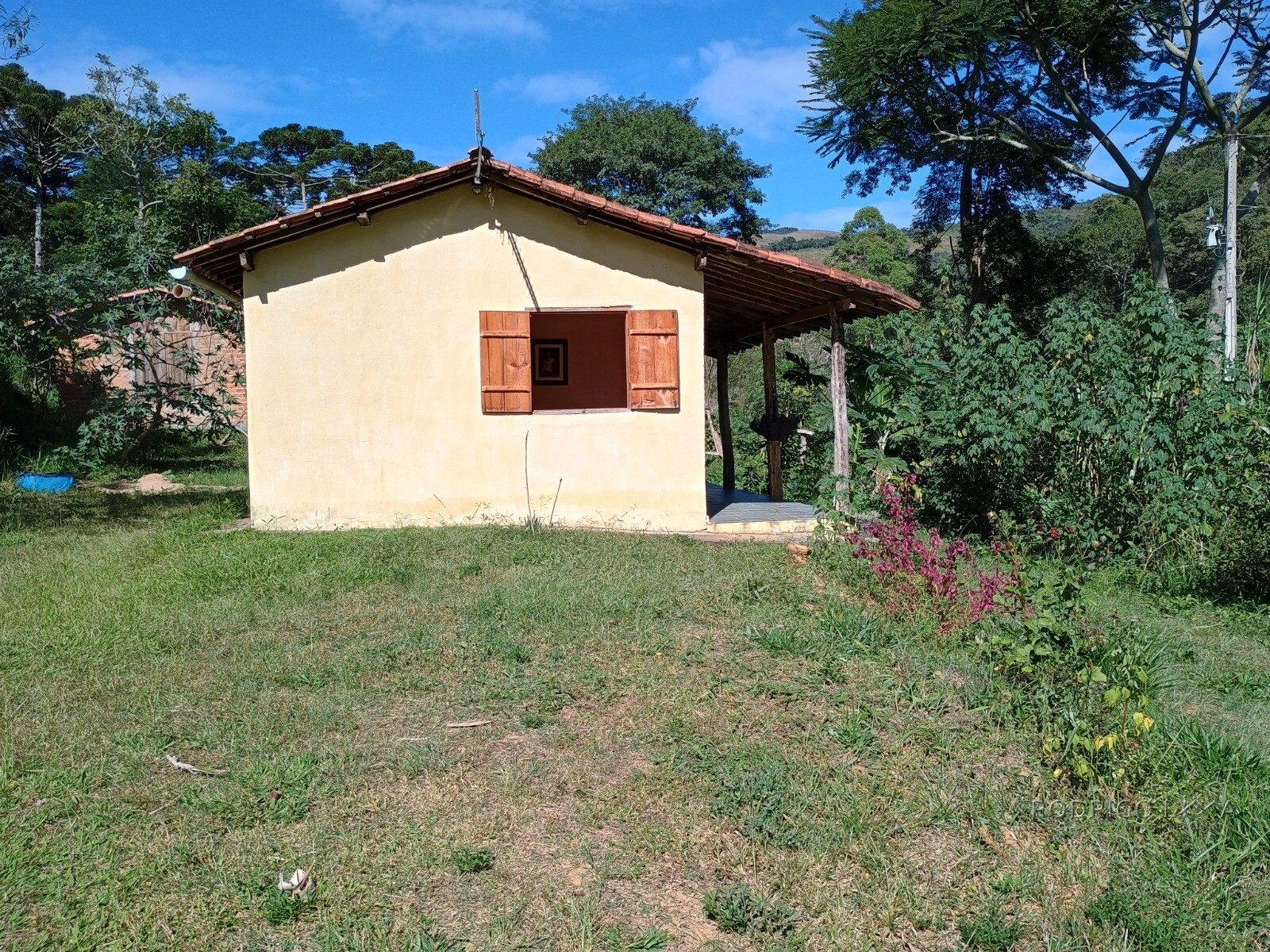Fazenda para venda em Liberdade MG