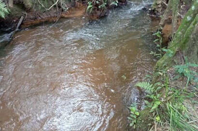 Fazenda para venda em Liberdade MG