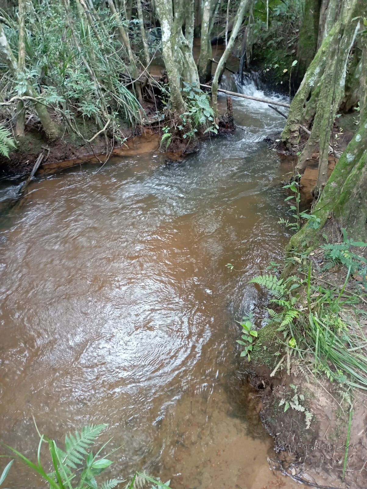 Fazenda para venda em Liberdade MG
