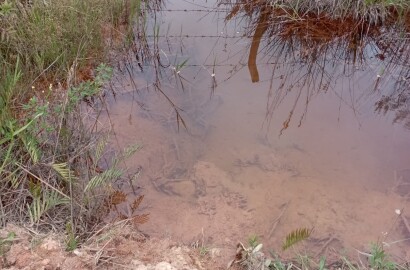 Fazenda para venda em Liberdade MG