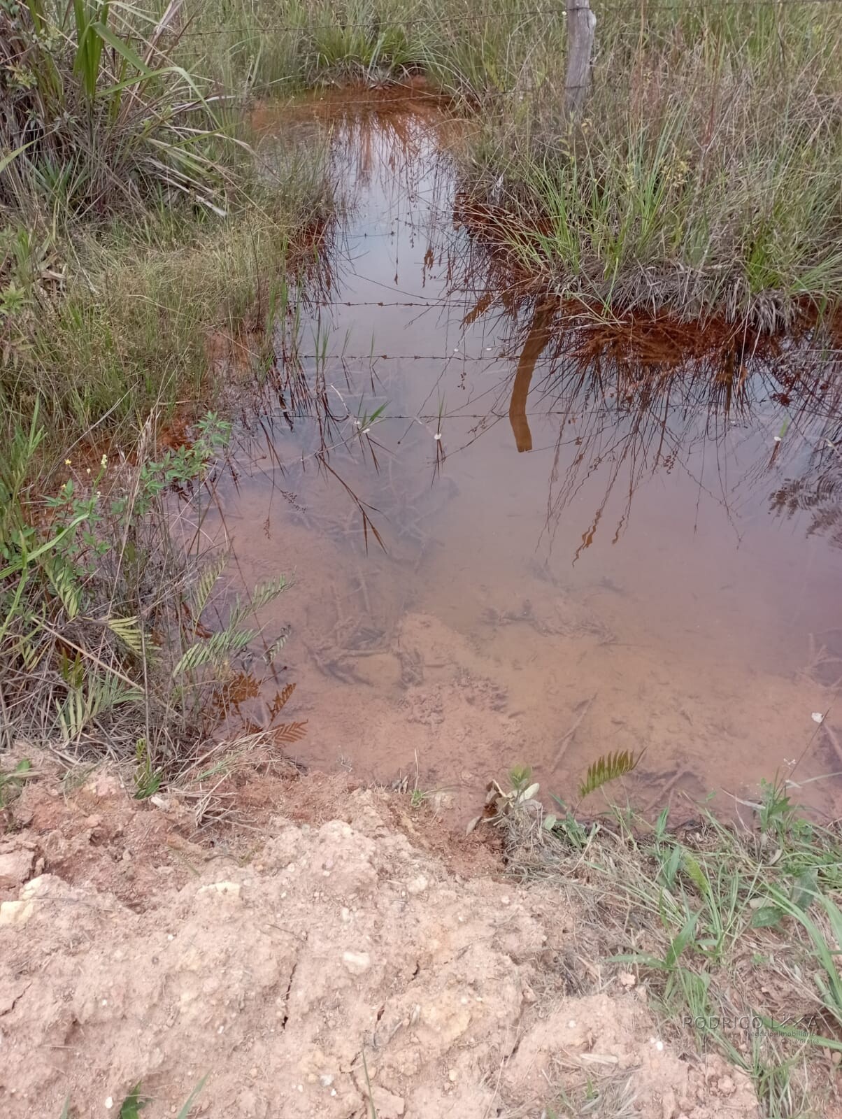 Fazenda para venda em Liberdade MG