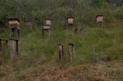Fazenda para venda em Liberdade MG