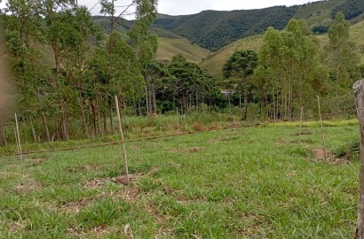 Fazenda para venda em Liberdade MG