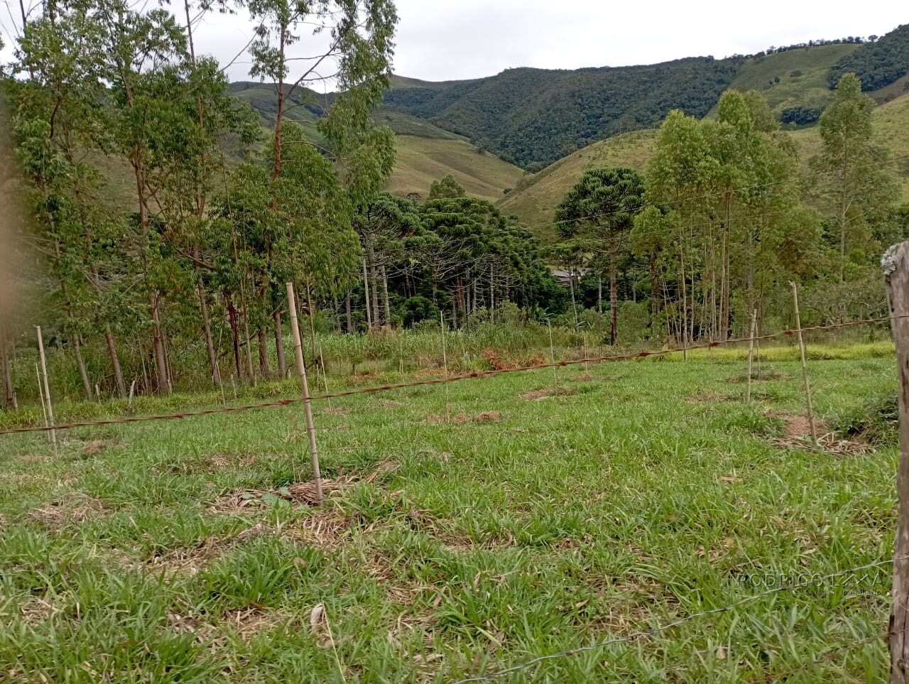 Fazenda para venda em Liberdade MG