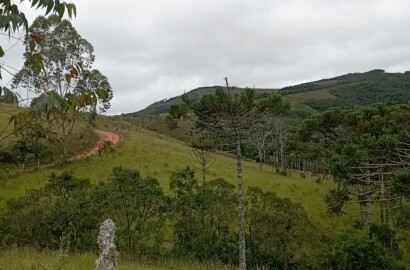 Fazenda para venda em Liberdade MG