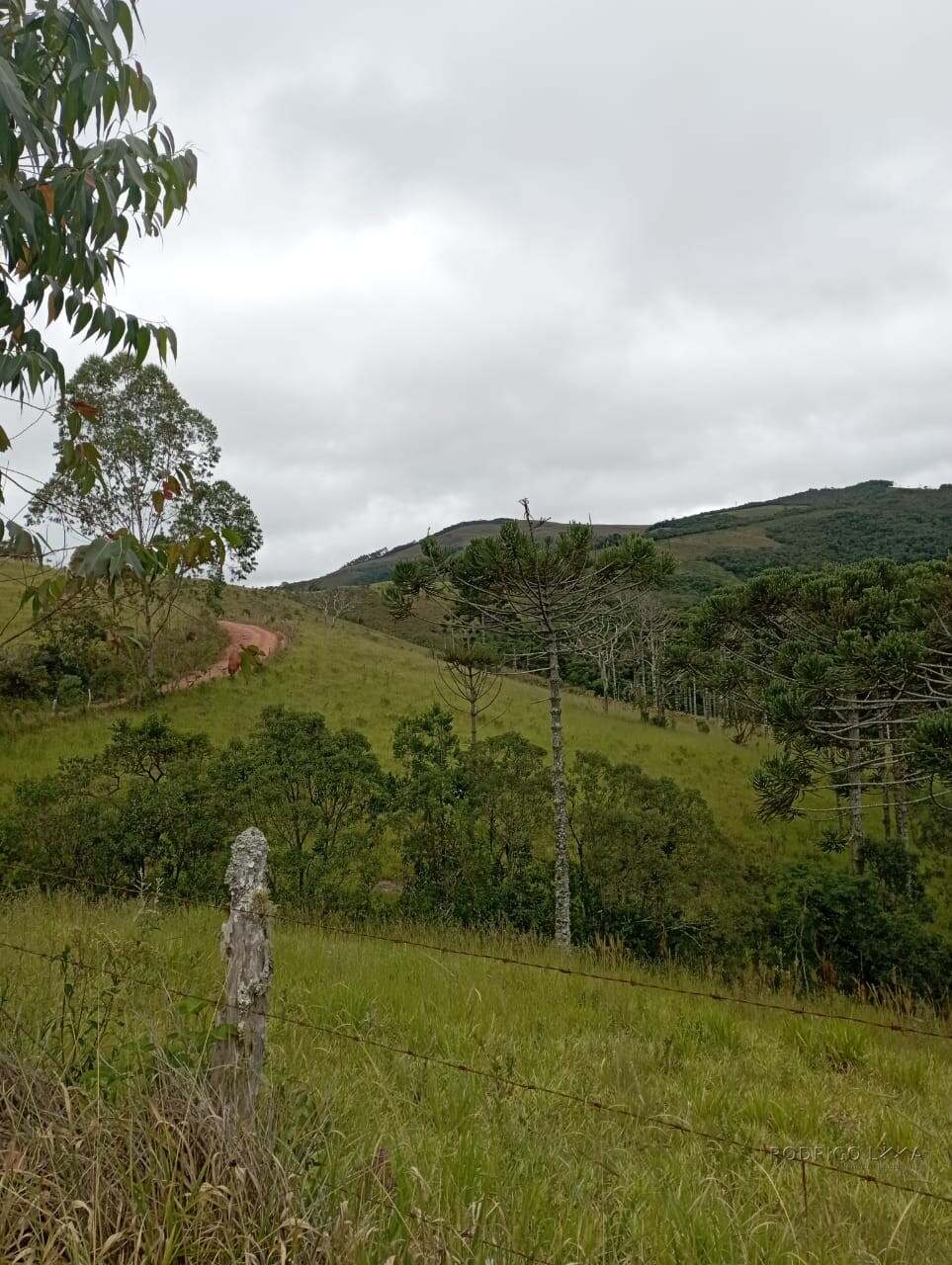 Fazenda para venda em Liberdade MG