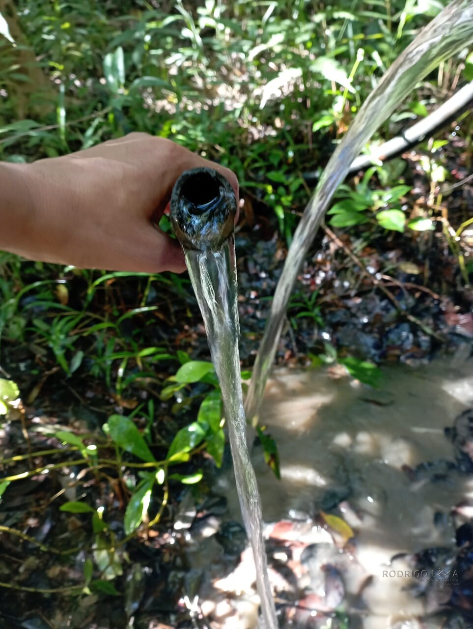 Fazenda para venda em Liberdade MG