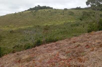 Fazenda para venda em Liberdade MG