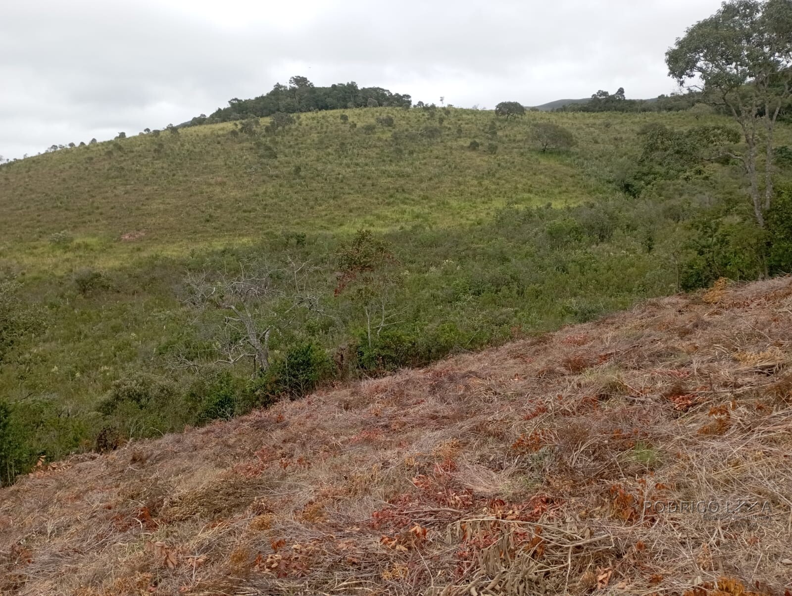 Fazenda para venda em Liberdade MG