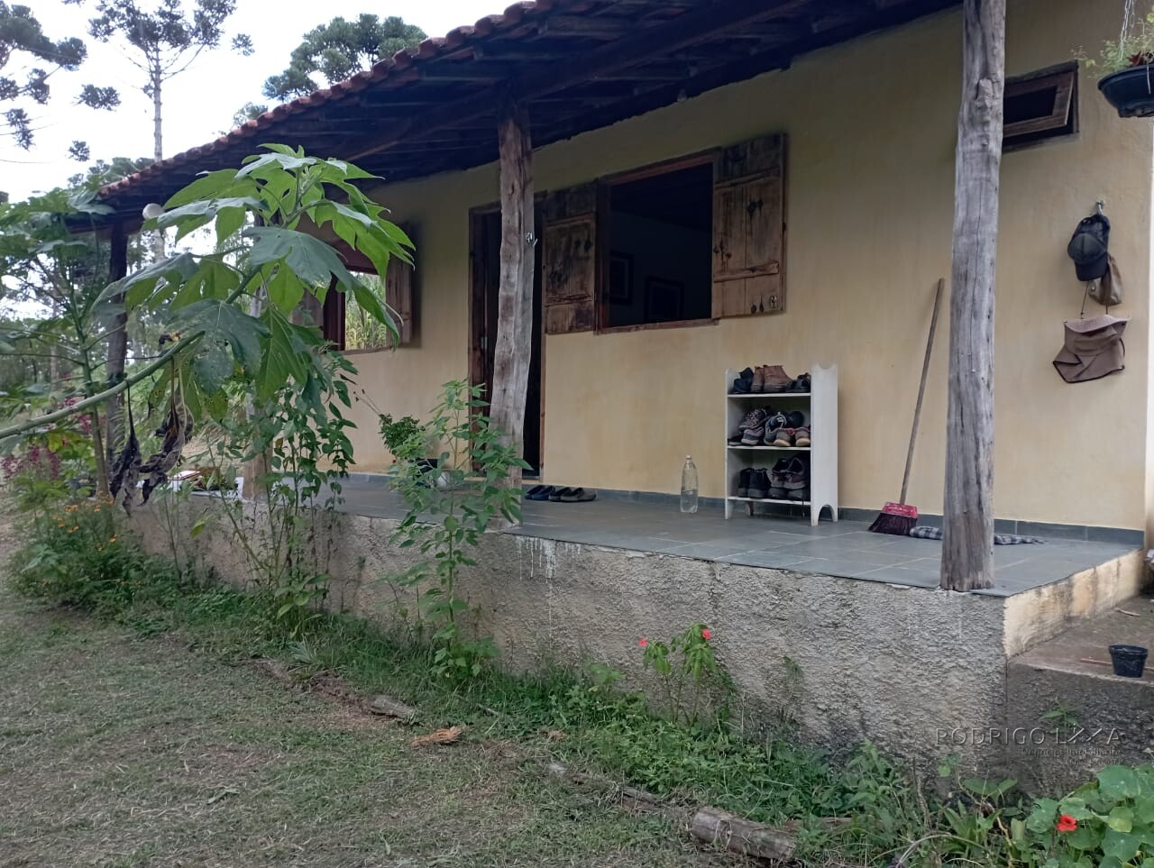 Fazenda para venda em Liberdade MG