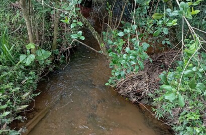 Fazenda para venda em Liberdade MG