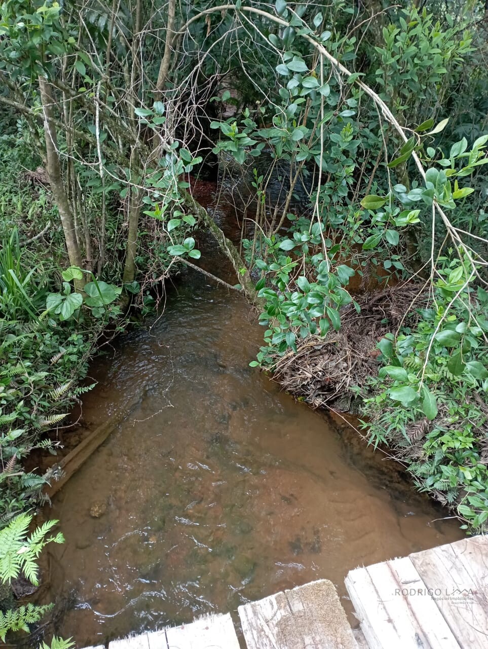 Fazenda para venda em Liberdade MG