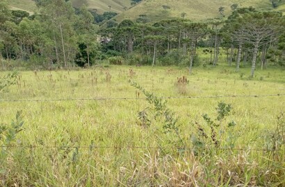 Fazenda para venda em Liberdade MG