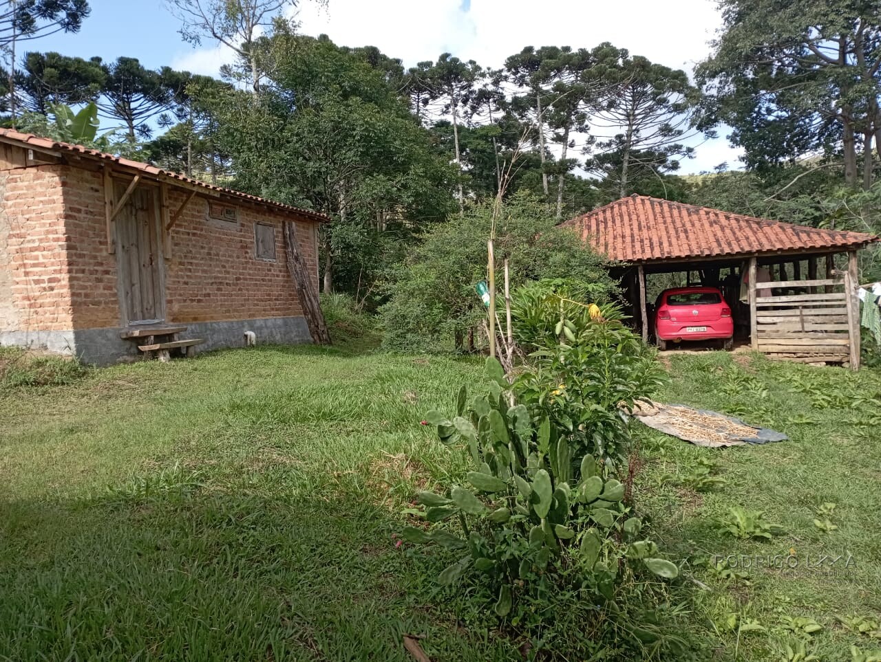Fazenda para venda em Liberdade MG
