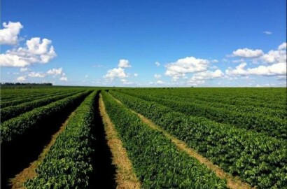 Fazenda para venda em Capelinha MG