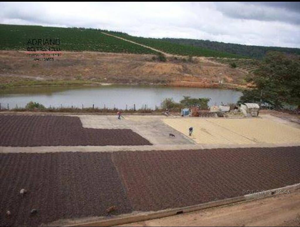 Fazenda para venda em Capelinha MG