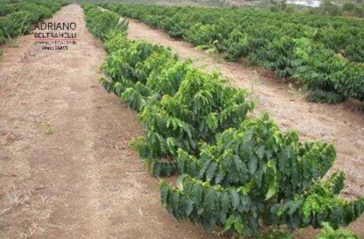 Fazenda para venda em Capelinha MG