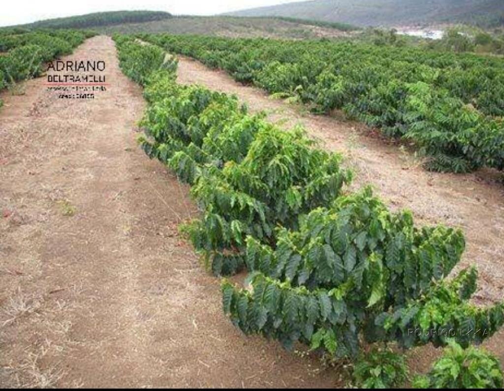 Fazenda para venda em Capelinha MG