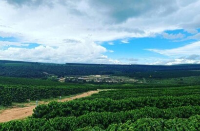 Fazenda para venda em Capelinha MG