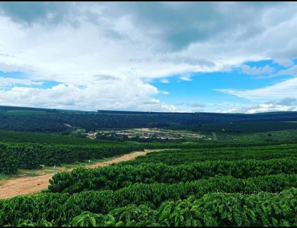 Fazenda para venda em Capelinha MG