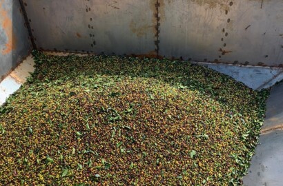 Fazenda para venda em Capelinha MG
