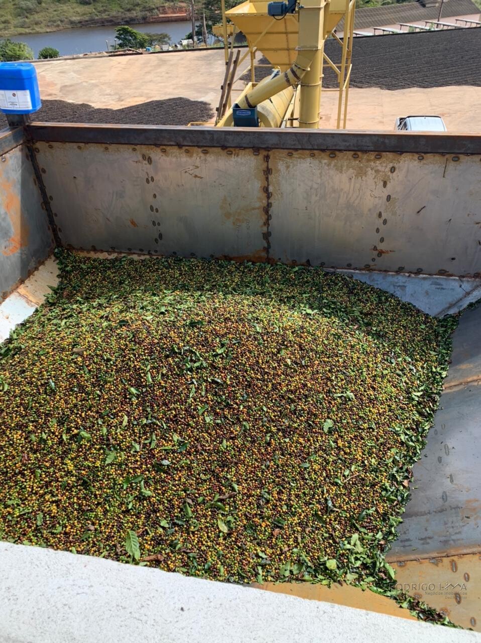 Fazenda para venda em Capelinha MG