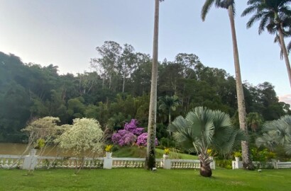 Fazenda histórica para venda na região de Santa Rita de Jacutinga MG