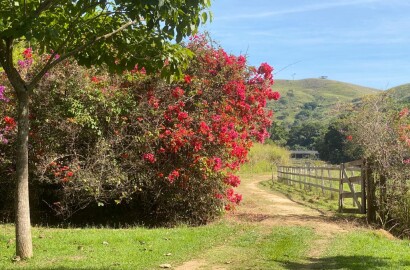 Fazenda histórica para venda na região de Santa Rita de Jacutinga MG