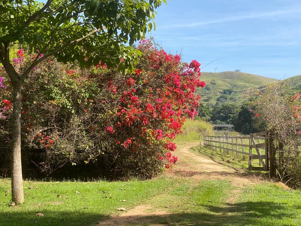 Fazenda histórica para venda na região de Santa Rita de Jacutinga MG