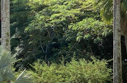 Fazenda histórica para venda na região de Santa Rita de Jacutinga MG